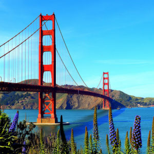 Golden Gate Bridge with flowers