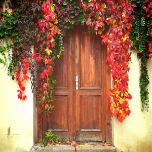 Czech Republic, Prague Door