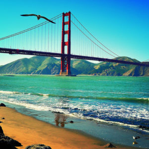 San Francisco - GG Bridge Bird