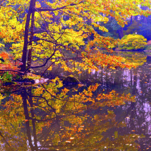 Central Park - New York Fall Lake Reflection