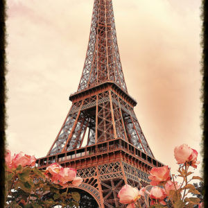 Eiffel Tower - Paris France Classic with Roses