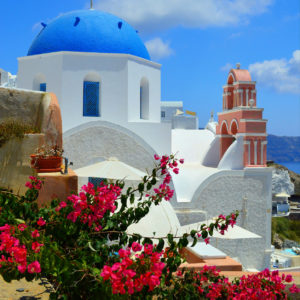 Santorini - Greece Flowers Portrait Blue Domes