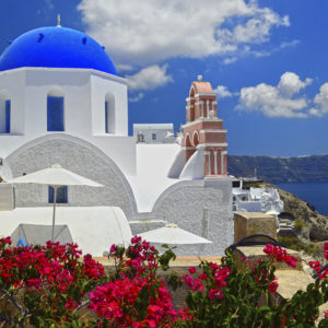 Santorini - Greece Flowers