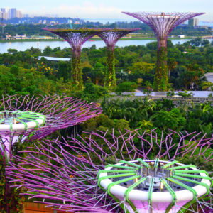 Singapore - Gardens by the Bay