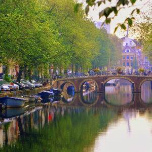Amsterdam Netherlands Bridge Trees