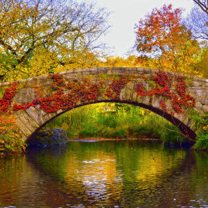 Central Park Bestseller