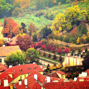 Prague Czech Republic Autumn Trees