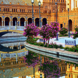 Seville Spain Flowers