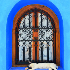 Catnap Chefchaouen