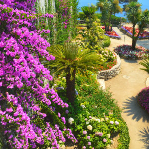 Ravello Garden