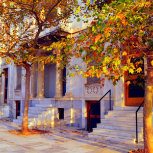 Orange Leaves Athens