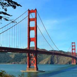 Golden Gate Bridge with Tree