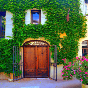 Courtyard with green vines in Provence