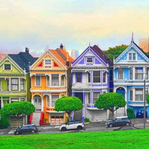 Painted Ladies in Bright Colors